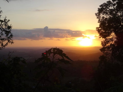 Treetops Montville - Australia Accommodation 3
