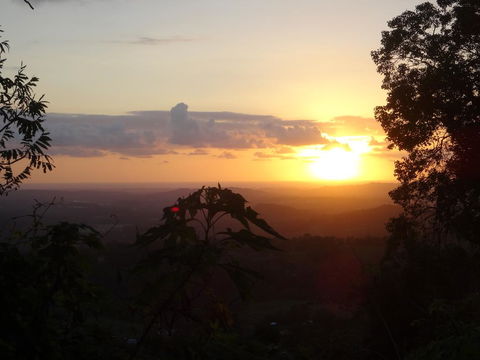 Treetops Montville - Australia Accommodation 3