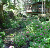 Treetops Montville - Australia Accommodation