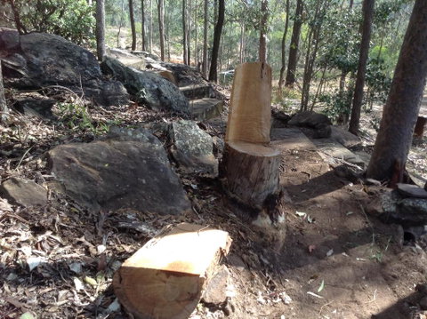 Twilight Grove Farm - Australia Accommodation 3