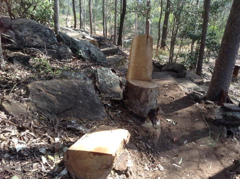 Twilight Grove Farm - Australia Accommodation 3
