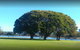 Victoria Park Villa 2 - thumb 1