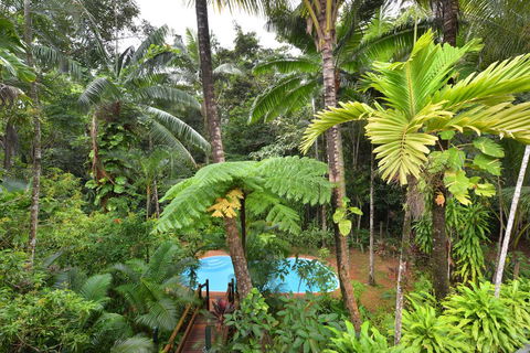 Wait A While Daintree - Australia Accommodation 3