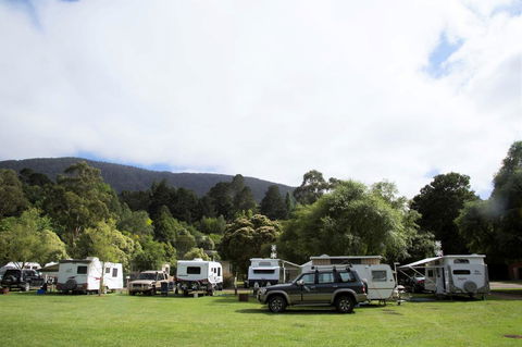 Warburton Holiday Park - Australia Accommodation 0