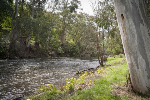 Oscar\'s On The Yarra - Australia Accommodation 23