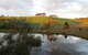 Walnut Cottage Via Leongatha - thumb 10