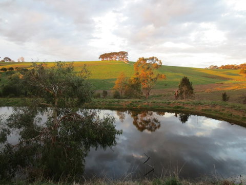 Walnut Cottage Via Leongatha - Australia Accommodation 10