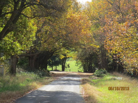 Walnut Cottage Via Leongatha - Australia Accommodation 11
