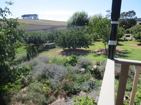 Walnut Cottage Via Leongatha - Australia Accommodation 9