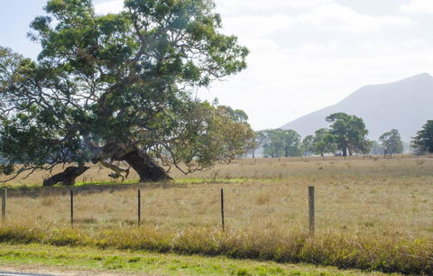 Corrugated Cottage - Australia Accommodation 4