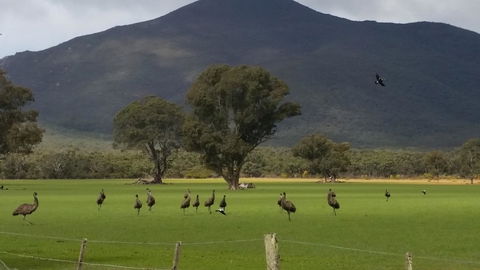 Corrugated Cottage - Australia Accommodation 23