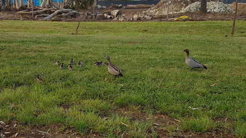 Corrugated Cottage - Australia Accommodation 25