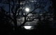 Swan Cove Beachfront - thumb 12