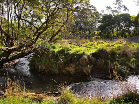 Green Gully House - Australia Accommodation 5