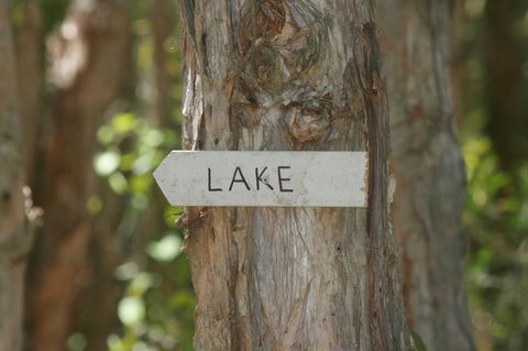 Lake Weyba Noosa Lodge & Kangaroos - Australia Accommodation 36