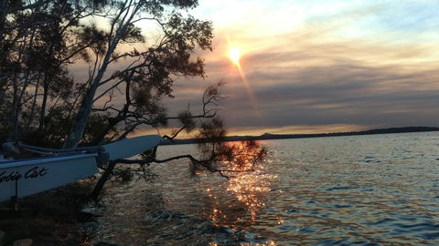 Lake Weyba Noosa Lodge & Kangaroos - Australia Accommodation 40