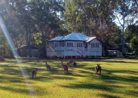 Lake Weyba Noosa Lodge & Kangaroos - Australia Accommodation 0