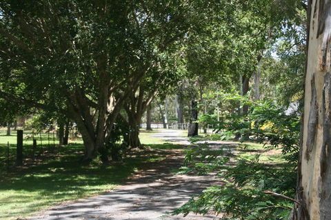Lake Weyba Noosa Lodge & Kangaroos - Australia Accommodation 34