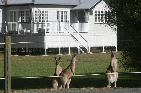 Lake Weyba Noosa Lodge & Kangaroos - Australia Accommodation 28