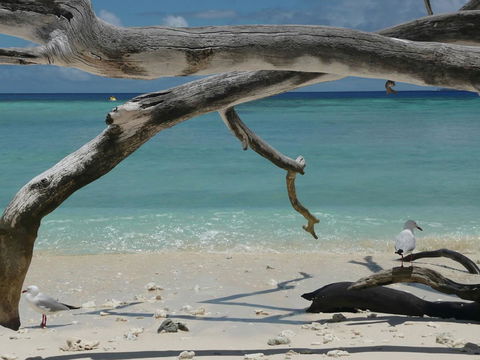 Beach Club Port Douglas Luxury Apartments - Australia Accommodation 23