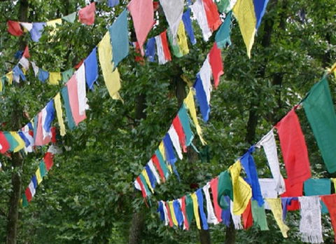 Noosa Hinterland Retreat - Australia Accommodation 10