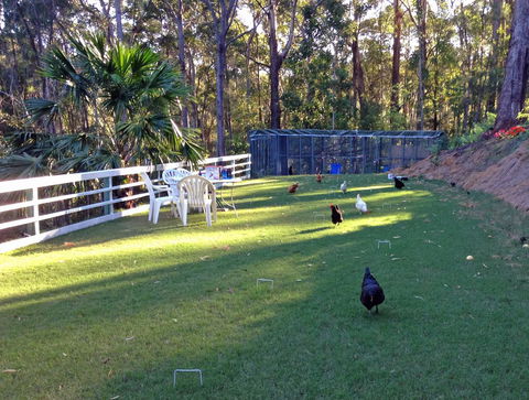 Noosa Hinterland Retreat - Australia Accommodation 11