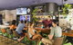 Summer House Cairns - thumb 16