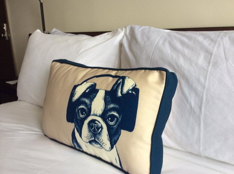 Hyatt Regency Brisbane - Australia Accommodation 23