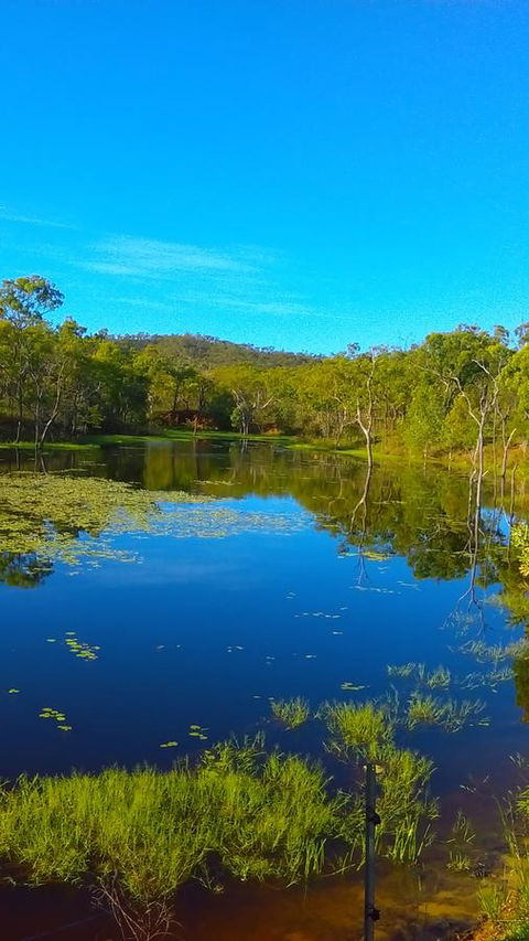 Ironbark House - Australia Accommodation 21