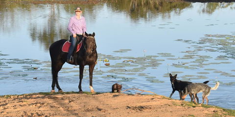 Ironbark House - Australia Accommodation 39