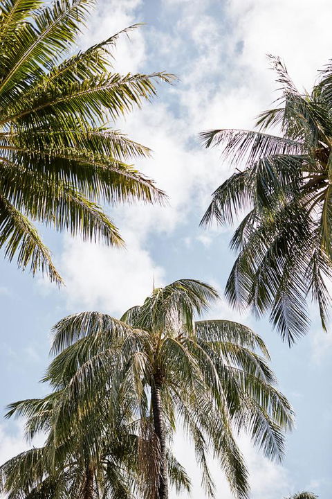 Novotel Cairns Oasis Resort - Australia Accommodation 9