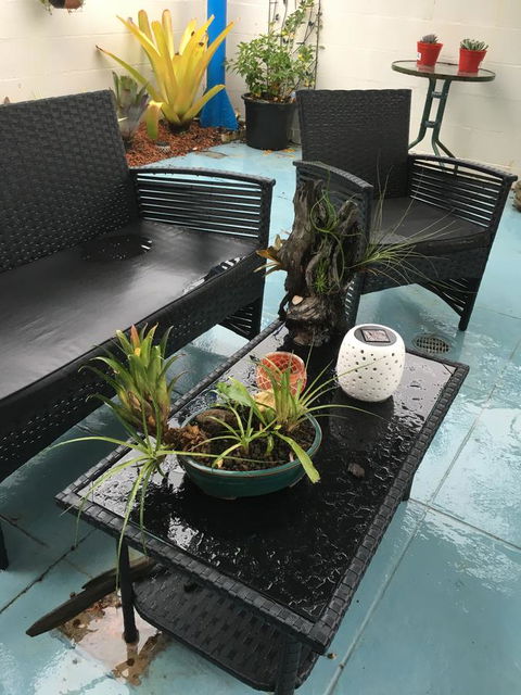 Black Marlin Motel - Australia Accommodation 3