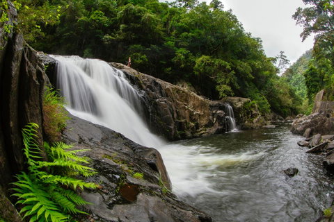 Coral Tree Inn - Australia Accommodation 40