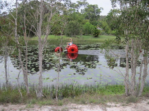 1770 Southern Cross Travellers Retreat - Australia Accommodation 16