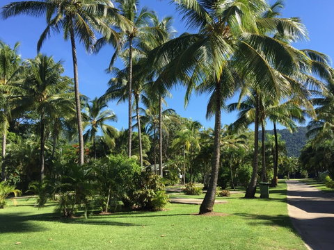 Tasman Holiday Parks - Airlie Beach - Australia Accommodation 1