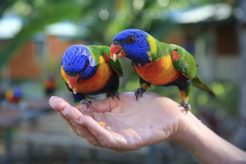Tasman Holiday Parks - Airlie Beach - Australia Accommodation 17