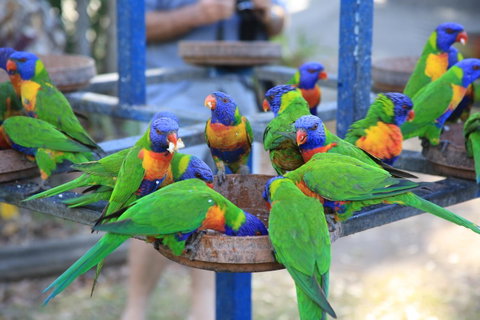 Tasman Holiday Parks - Airlie Beach - Australia Accommodation 23