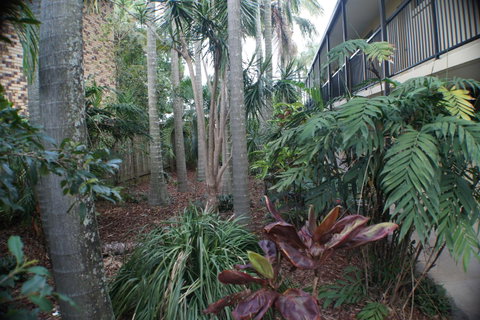 Best Western Airport 85 Motel - Australia Accommodation 34