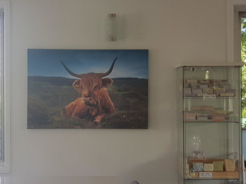 Highland House - Australia Accommodation 4