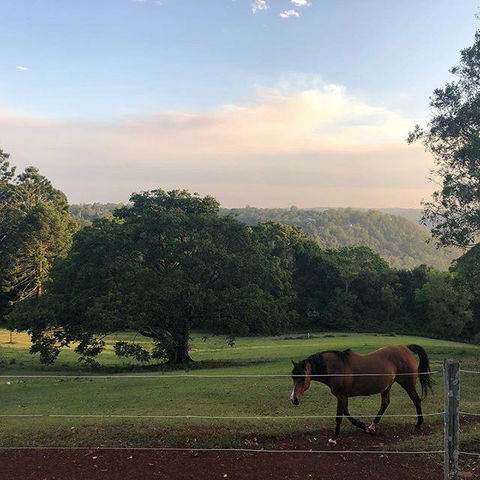 Montville Holiday Apartments - Australia Accommodation 3