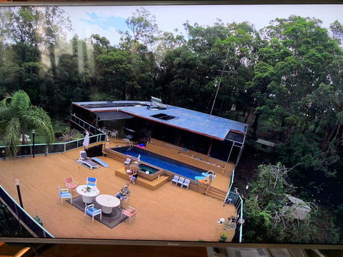 Where The Forest Meets The Sea On The Gold Coast - Australia Accommodation 0