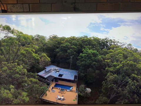Where The Forest Meets The Sea On The Gold Coast - Australia Accommodation 1