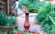 Whitsundays BNB Retreat - thumb 3
