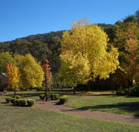 Willowlake Cottages - Australia Accommodation