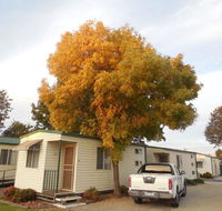 Wodonga Caravan  Cabin Park - Australia Accommodation