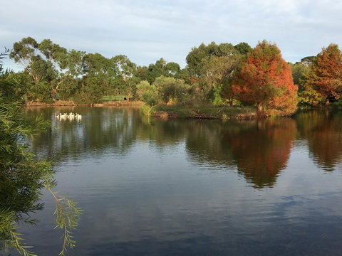 Wonderland Hobby Farm - Australia Accommodation 2