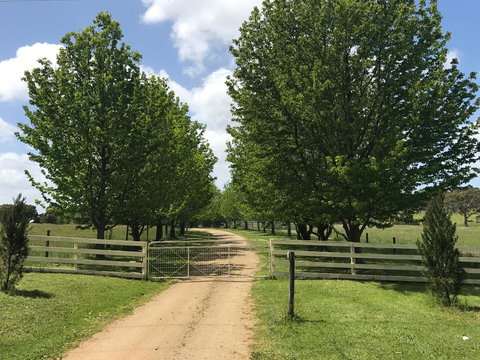 Wonderland Hobby Farm - Australia Accommodation 1