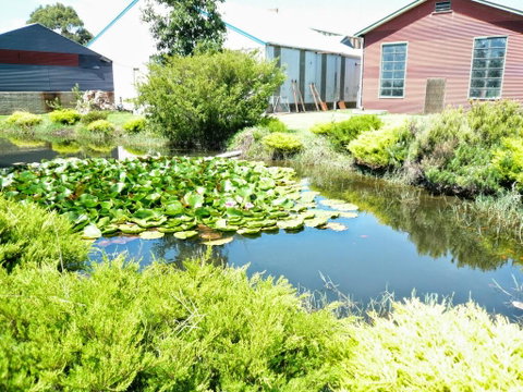 Yarragon Dairy Family Room - Australia Accommodation 1
