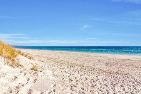 Adventure Awaits - Footsteps From West Beach - Australia Accommodation 4