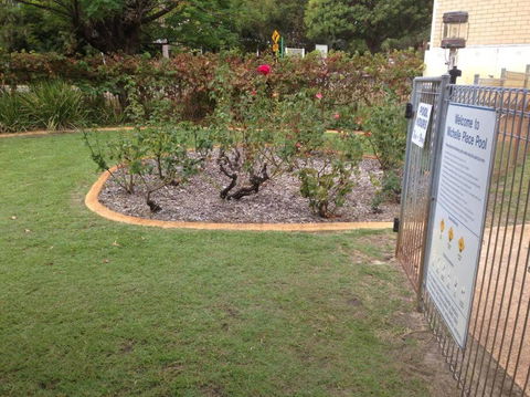 Affordable Inglewood Apartment+Pool - Australia Accommodation 4